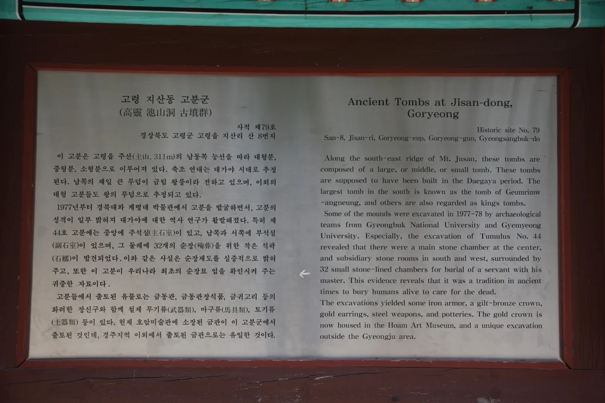 다산딸기조합농원 - 고령여행 여행