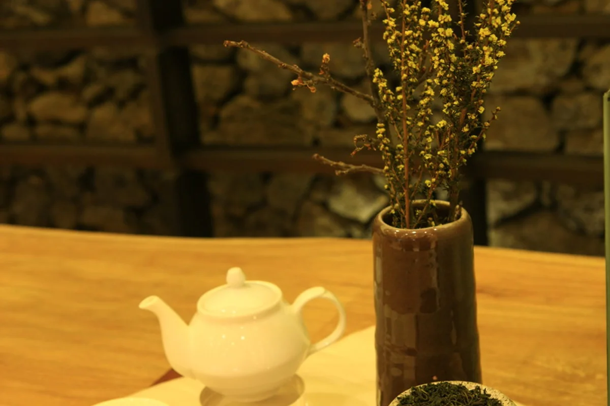 오설록 티 뮤지엄 - 제주캠핑 여행