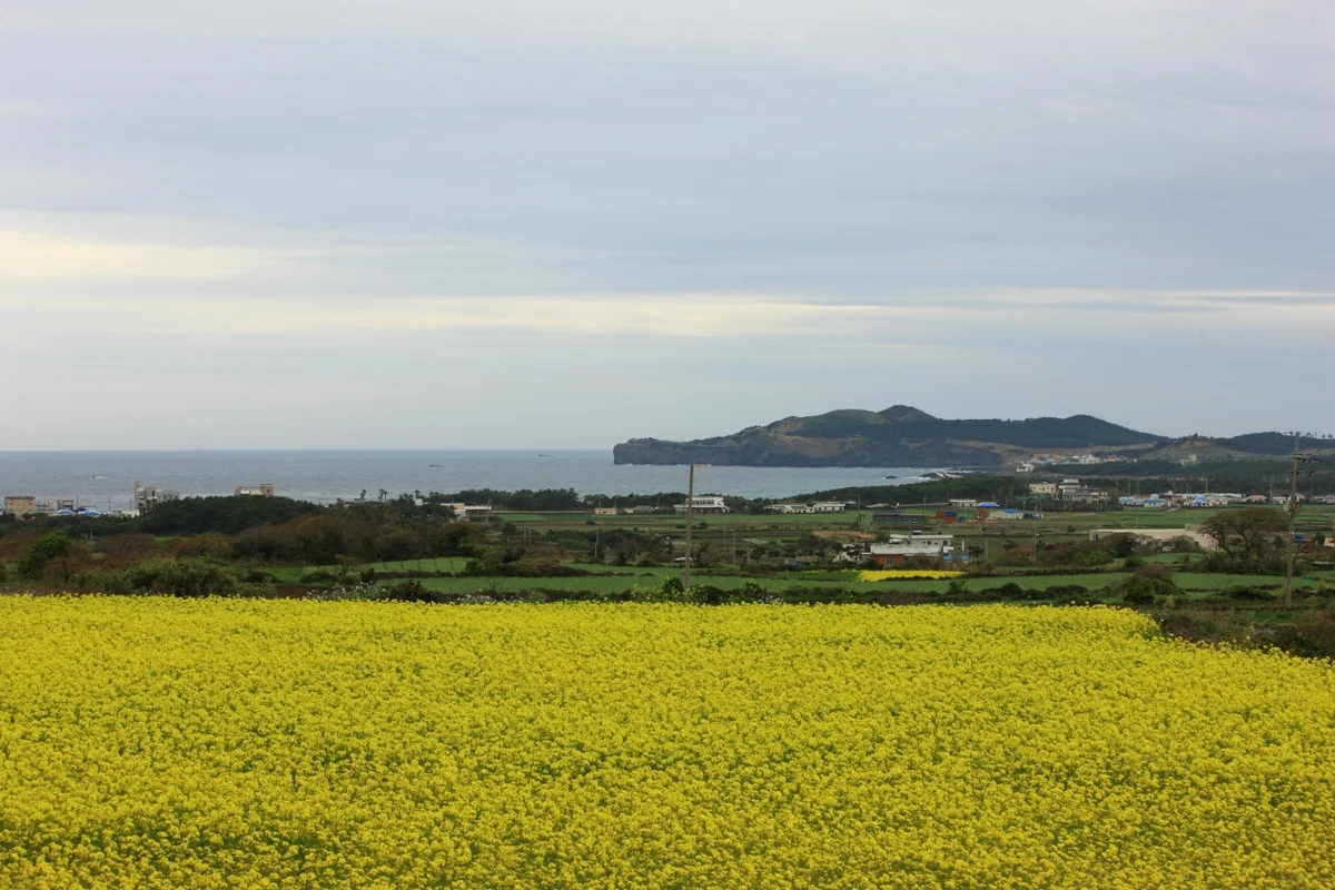 제주 풍경 (출처 : 한국관광공사)