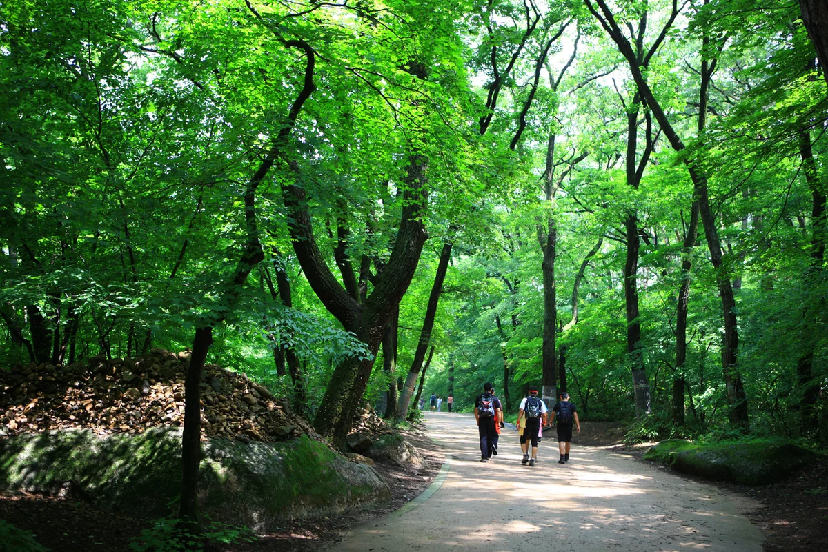 속리산 어린이날 나들이 (출처 : 한국관광공사)