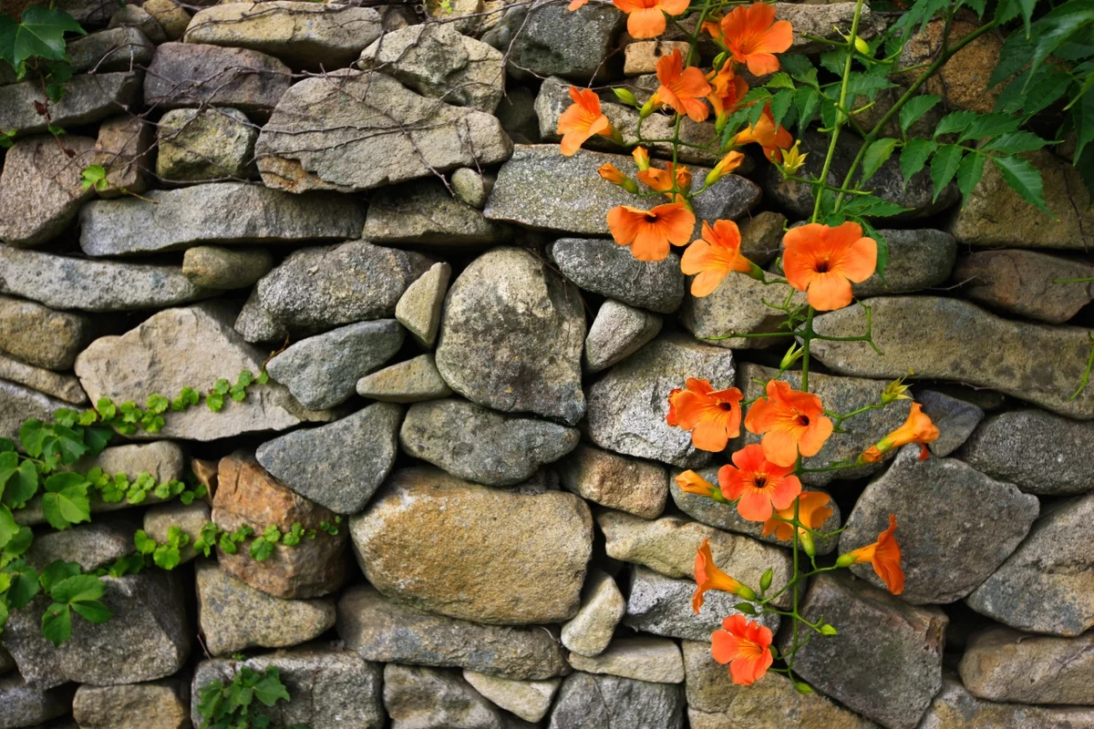 외암민속마을 - 외암민속마을 여행