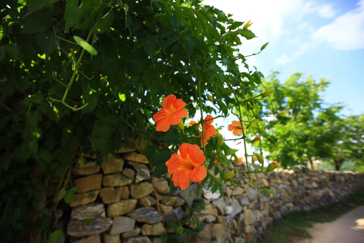 외암마을민속공원 - 외암민속마을 여행