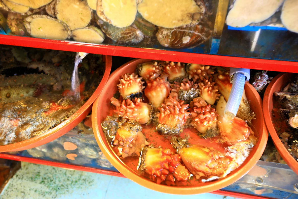 부산BIFF거리 - 자갈치펜션추천 여행