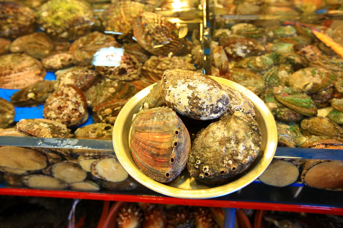 창선동 먹자골목 - 자갈치펜션추천 여행