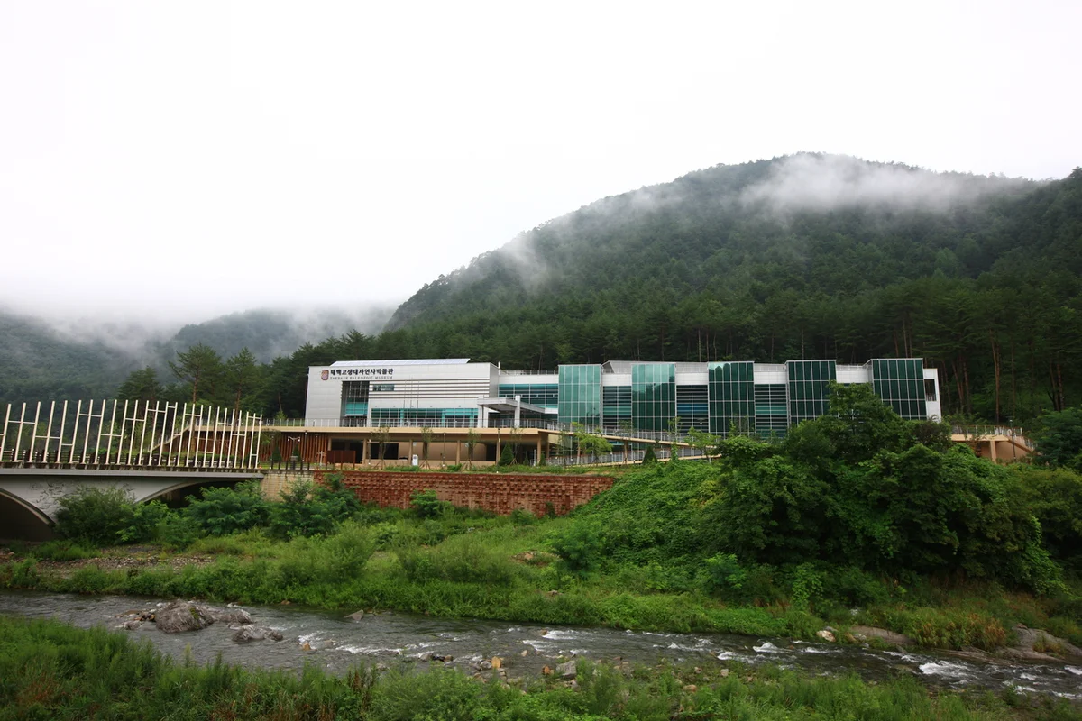 태백고생대자연사박물관 - 태백시 여행