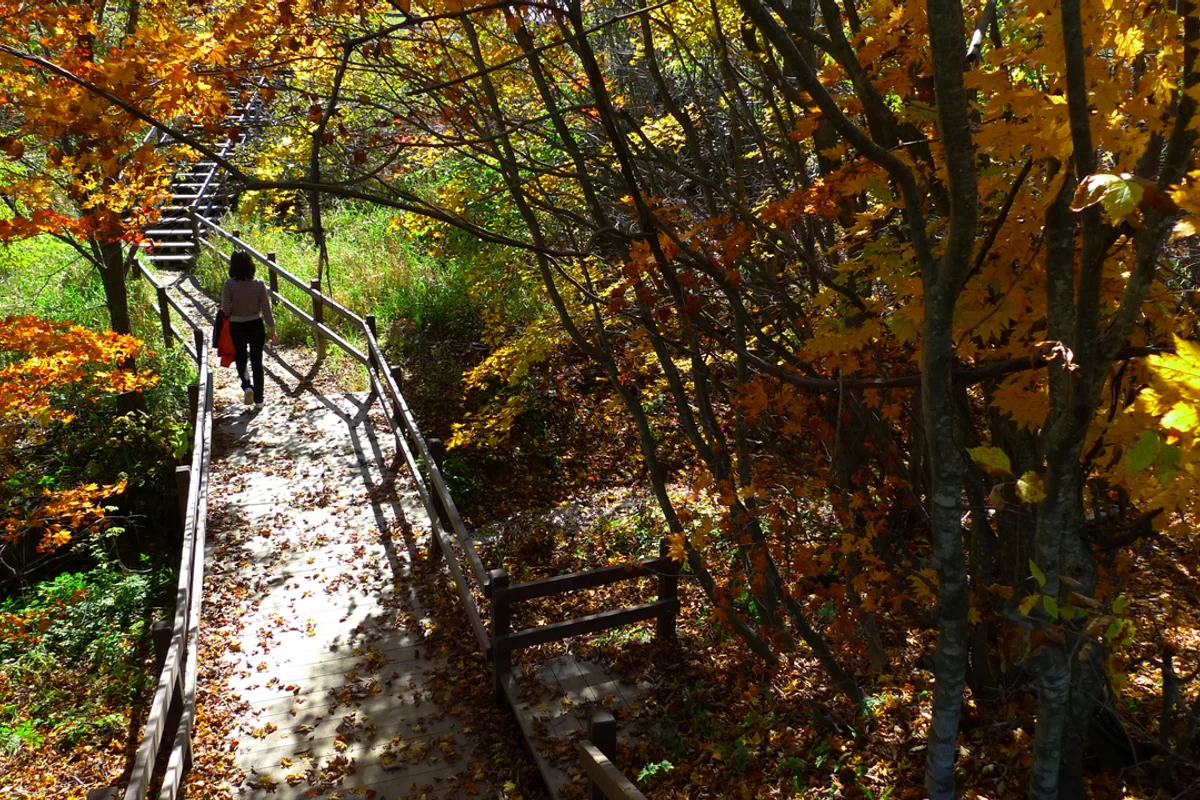 삼양 밥집 (출처 : 한국관광공사)