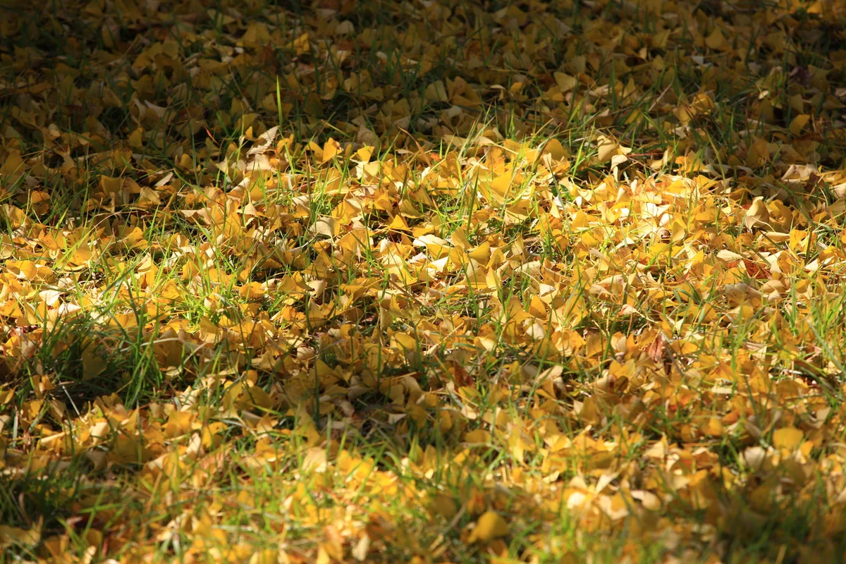 영양 숙소 추천 (출처 : 한국관광공사)