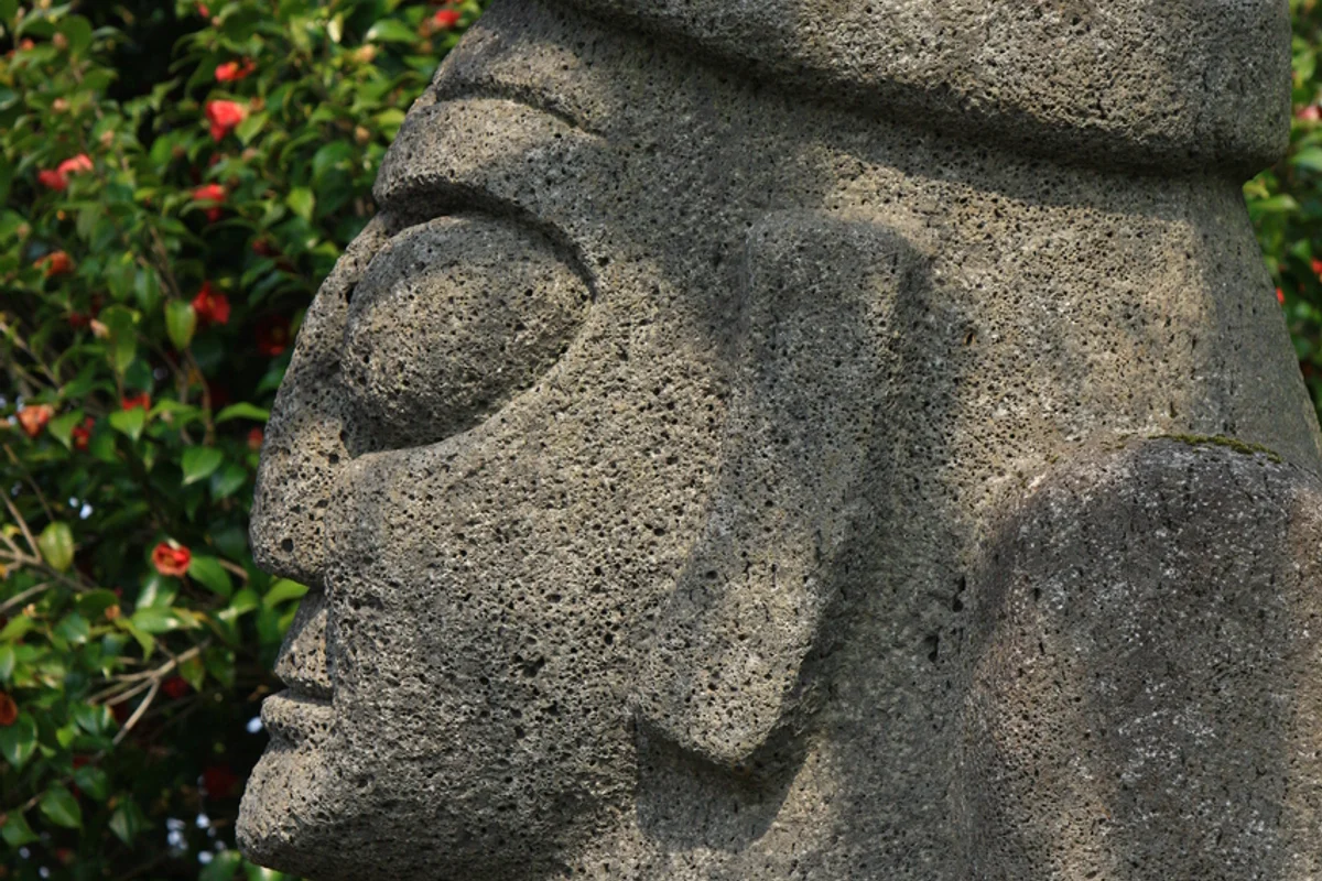 제주 항공 취소 수수료, 이것만은 꼭! - 제주항공 여행