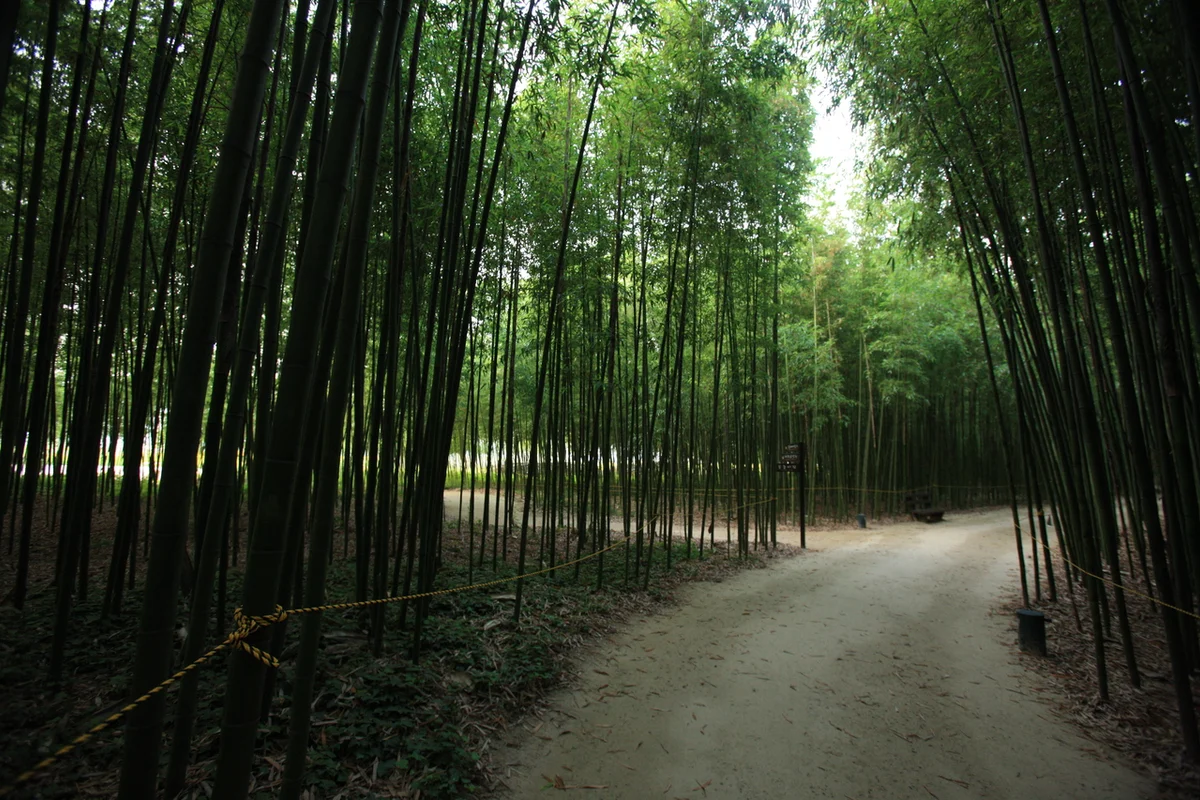 태화강 국가정원 - 태화강 여행