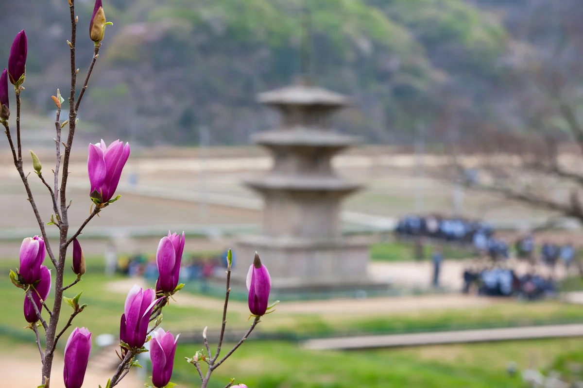 감은사지 볼거리 (출처 : 한국관광공사)