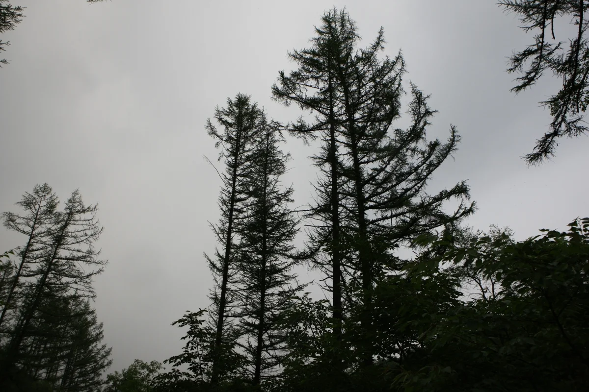 제이드가든 - 강원도 여행