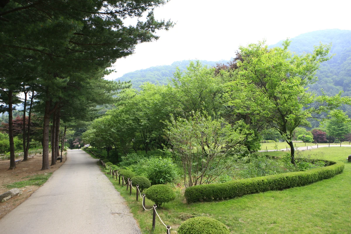아침고요수목원 수상 레저를 위한 가평 인근 명소 - 아침고요수목원 여행