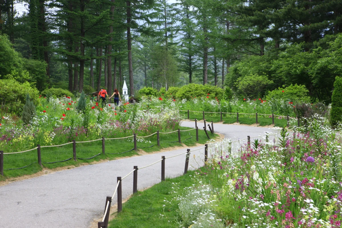 가평원더풀카라반&글램핑 - 아침고요수목원 여행