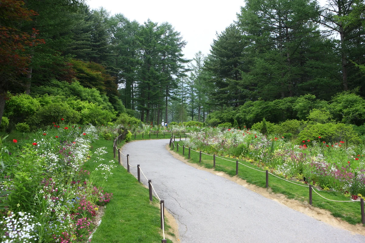 아침고요가족동물원 - 아침고요수목원 여행
