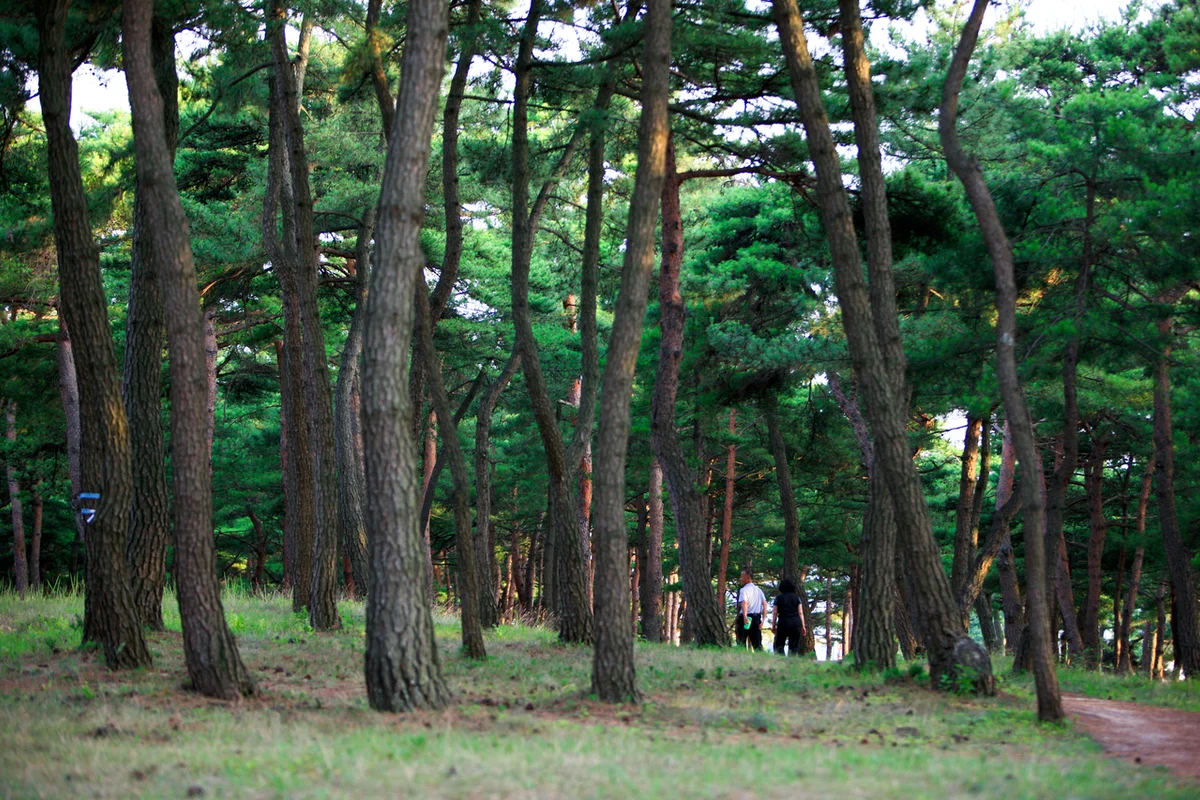 해운대블루라인파크 송정정거장 - 송정 여행