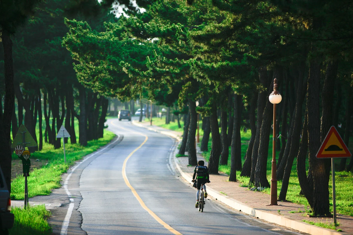 해마루 - 송정 여행