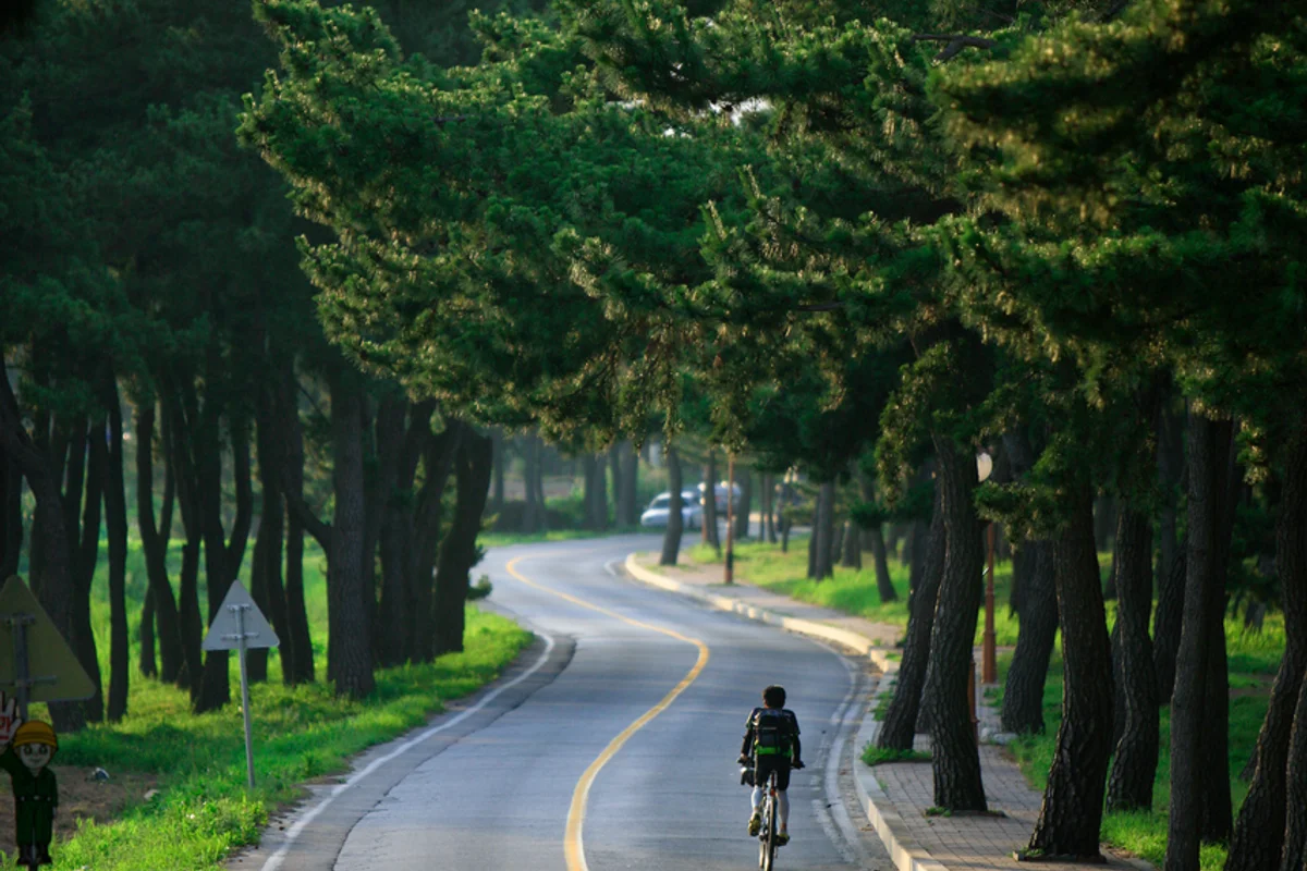 송정공원 - 송정 여행