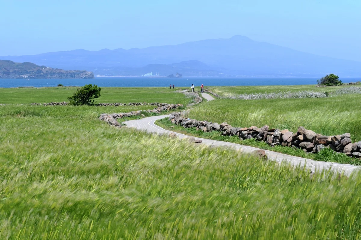 진안고원 봄 나들이 (출처 : 한국관광공사)