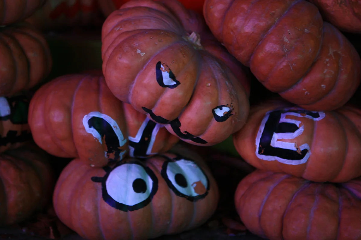 청도프로방스 - 청도 여행