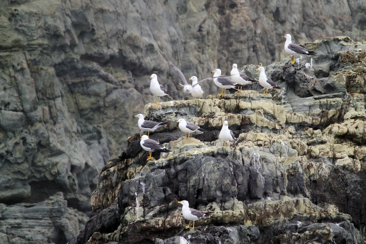 해금강 - 거제여행 여행
