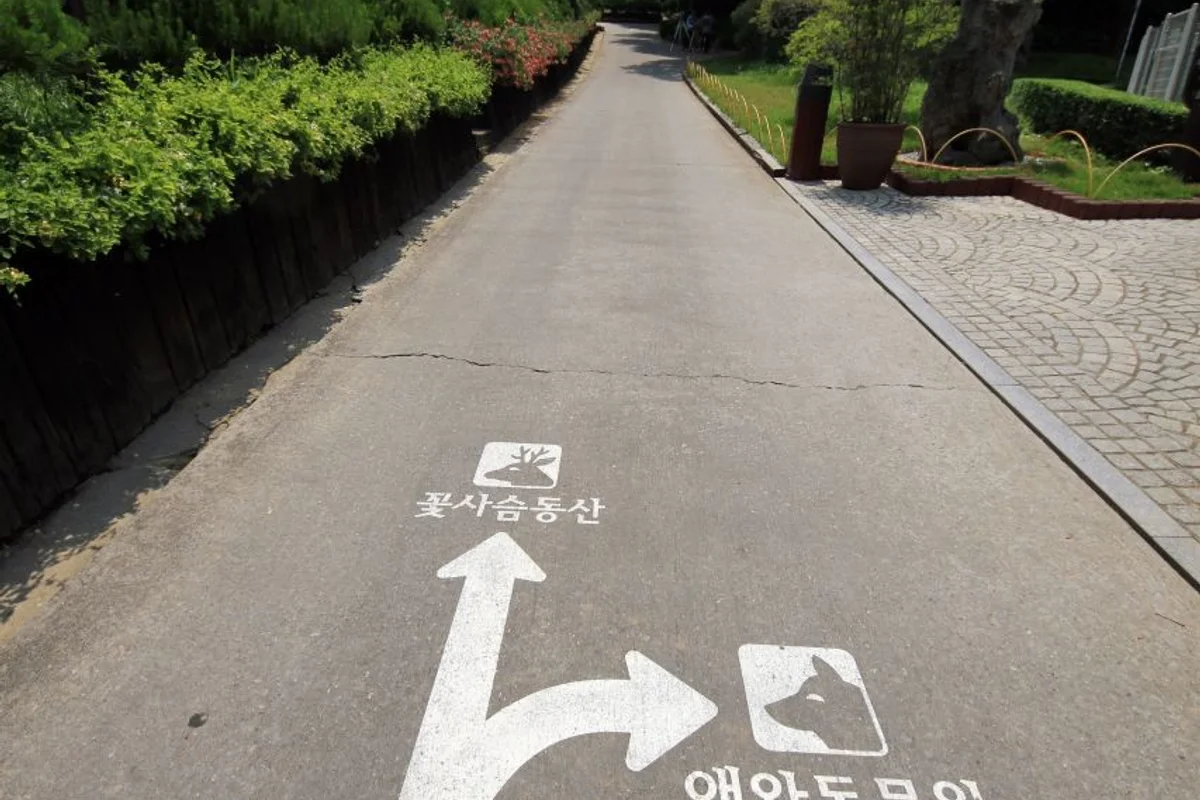 베어트리파크 장미축제 (출처 : 한국관광공사)