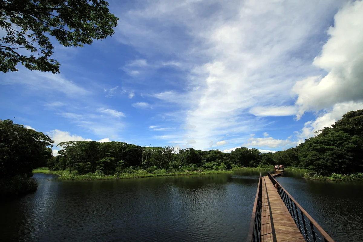 에코랜드 테마파크 - 제주항공 여행