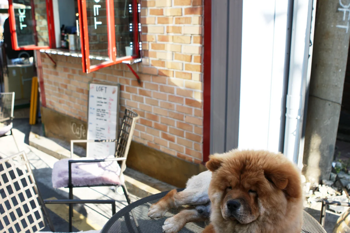 이태원 뷰 좋은 곳 (출처 : 한국관광공사)