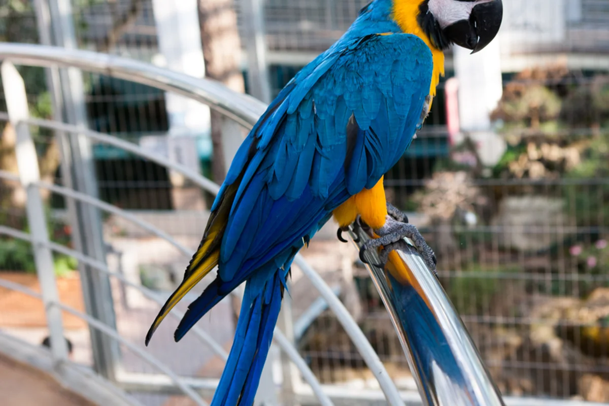 경주동궁원 - 경주여행 여행