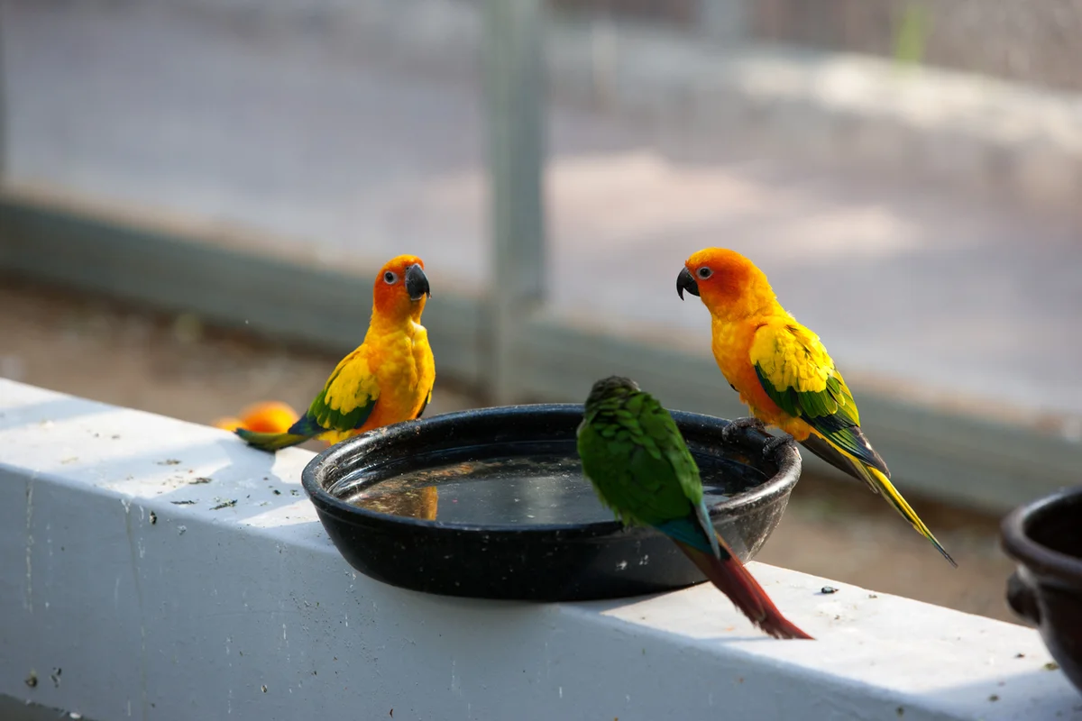 경주 버드파크 - 경주여행 여행