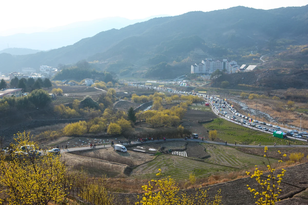 구례산수유마을 아이와 가볼만한곳 - 구례여행 여행