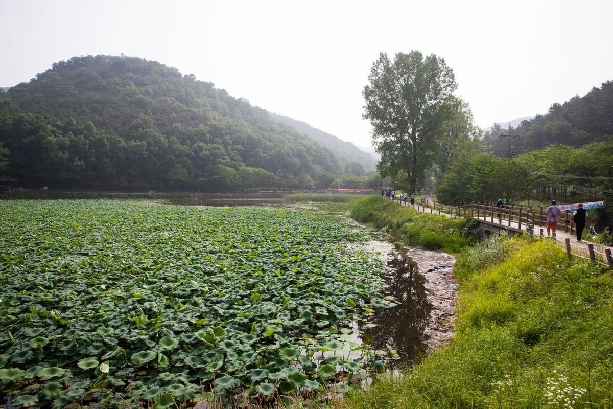 운암지 수변공원 - 대구여행 여행