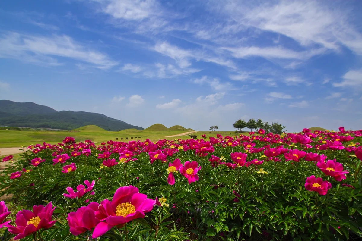 의성 부모님 모시고 (출처 : 한국관광공사)