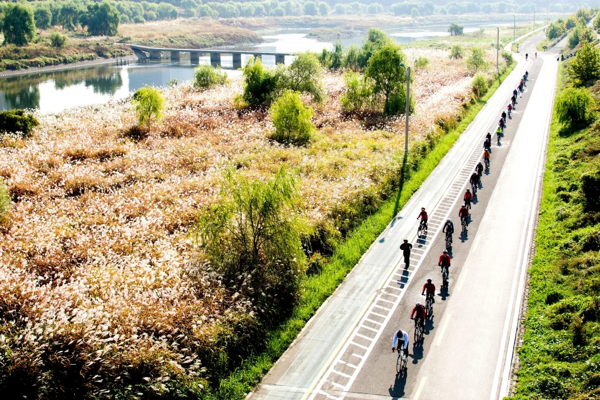 안양천 - 광명벚꽃 여행