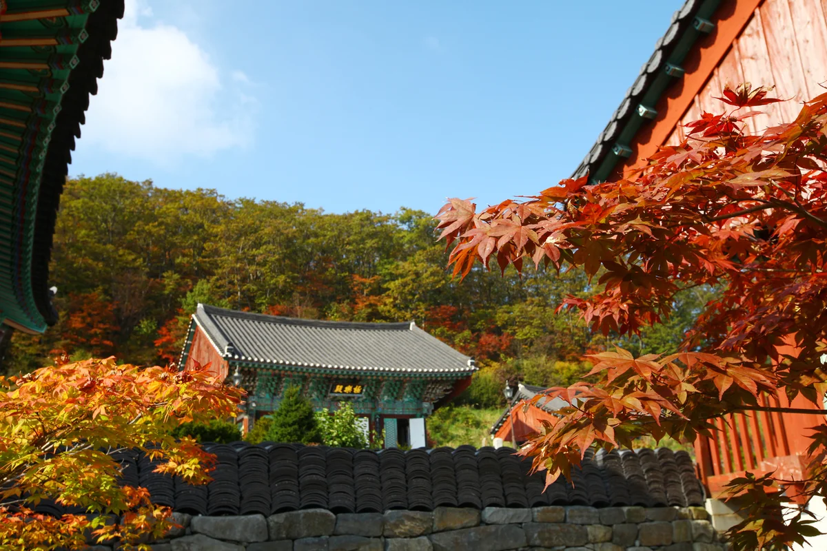 안국사: 무주군 일몰 명소 - 무주여행 여행