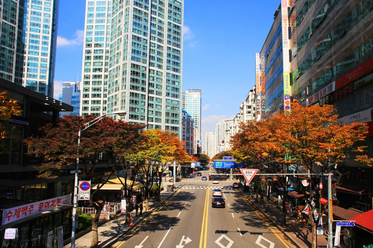 분당중앙공원 - 분당여행 여행