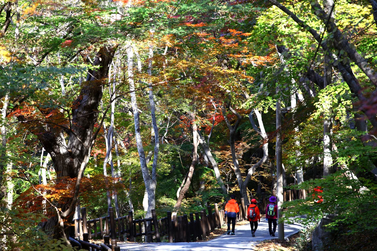 문수사 - 고창여행 여행