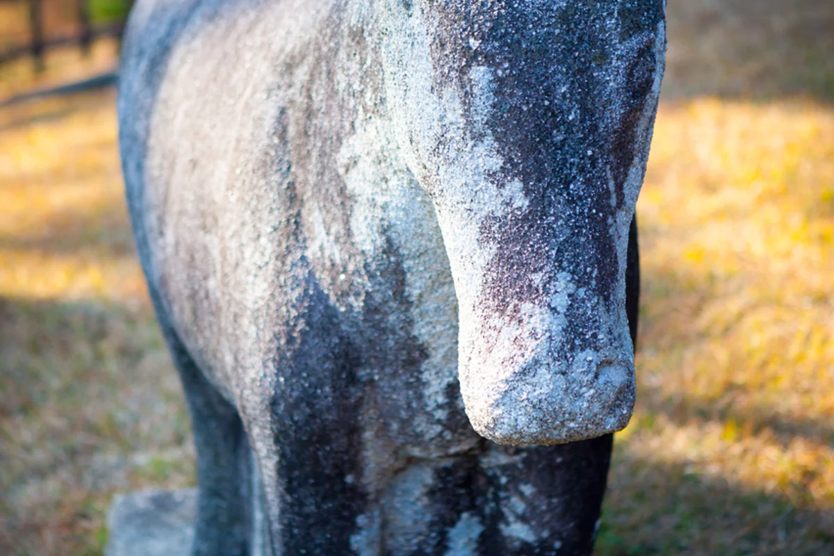 세종대왕릉 - 여주 여행 여행