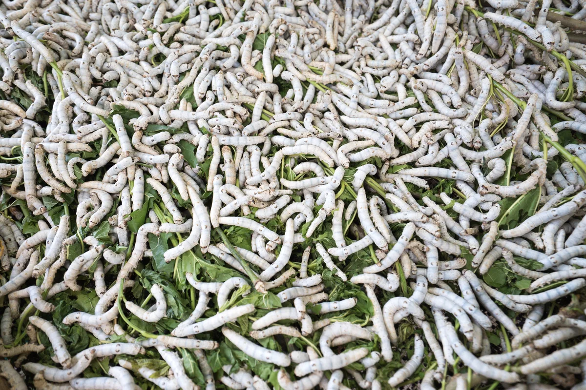 부산 대전 (출처 : 한국관광공사)