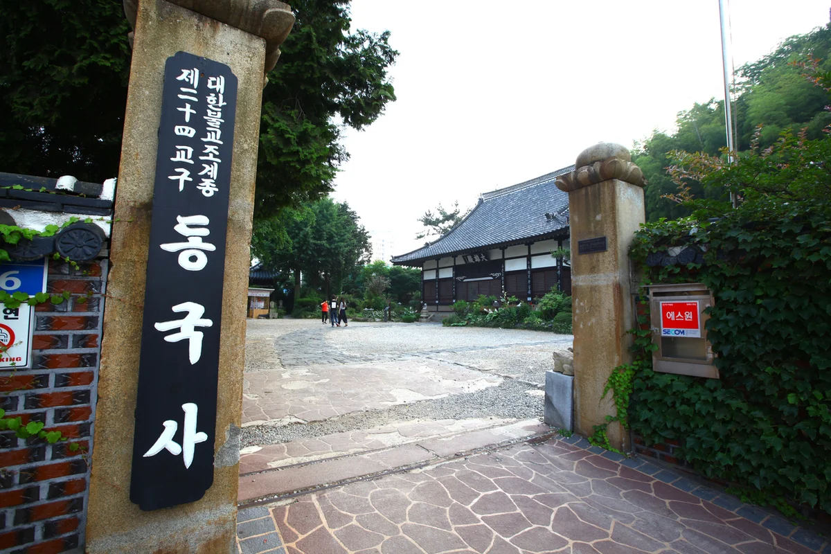 알파카월드 - 국내여행 여행