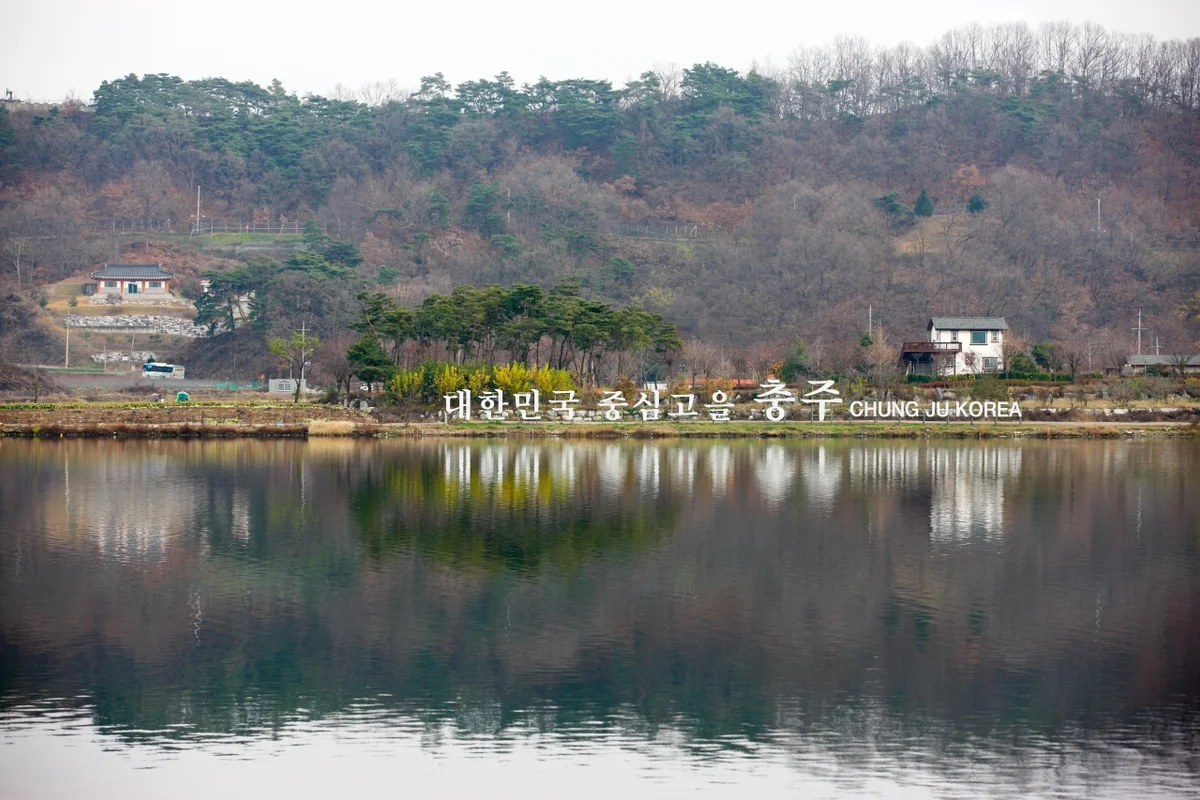 중앙탑사적공원 - 충주 동물원 여행