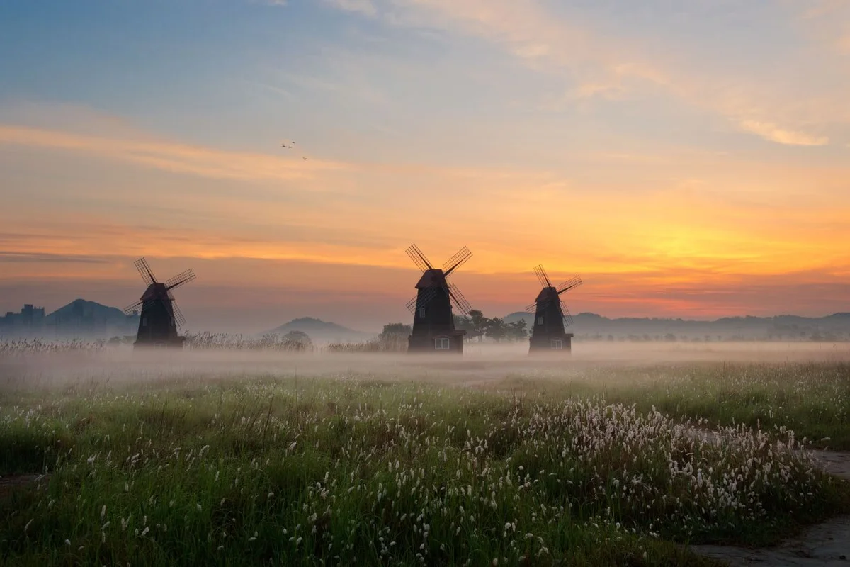 용인중앙공원 - 용인여행 여행