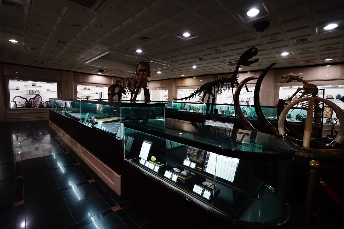 삼척시 전시 (출처 : 한국관광공사)