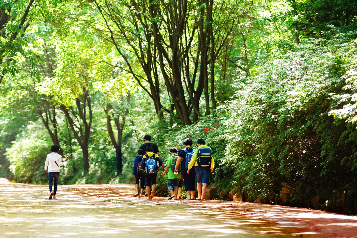 대덕구 전통시장 (출처 : 한국관광공사)