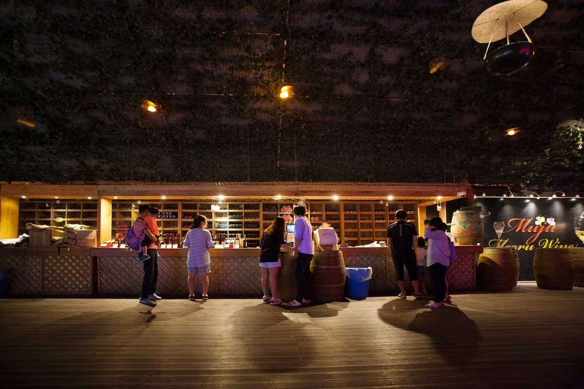 머루와인동굴 - 무주군 여행