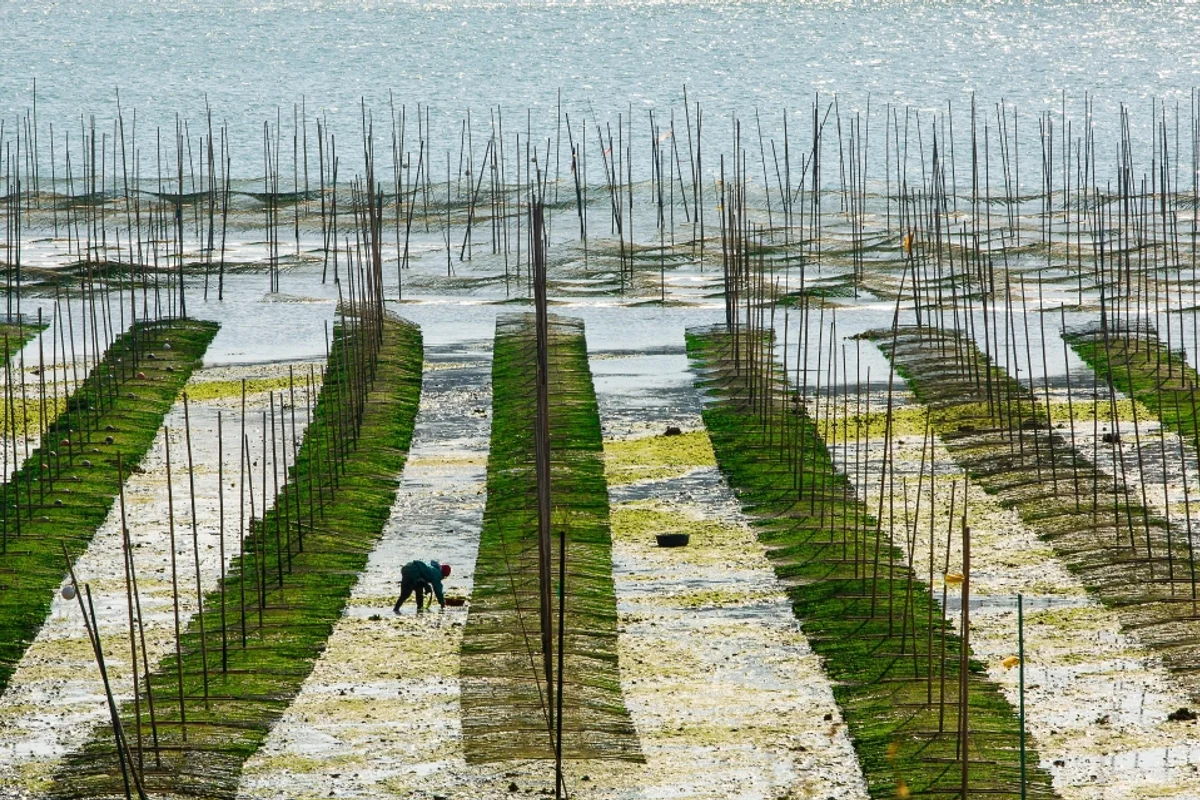 장흥 골프장 (출처 : 한국관광공사)