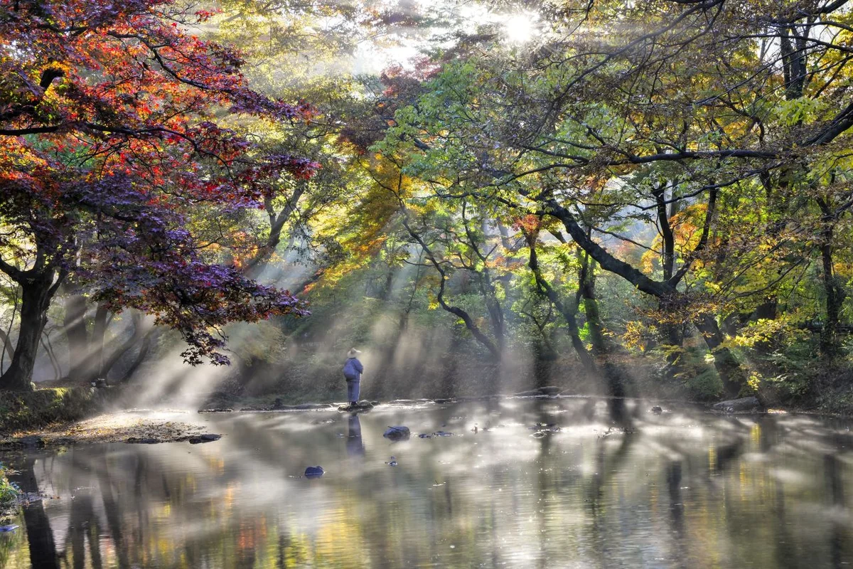 고창 선운사 - 전북여행 여행