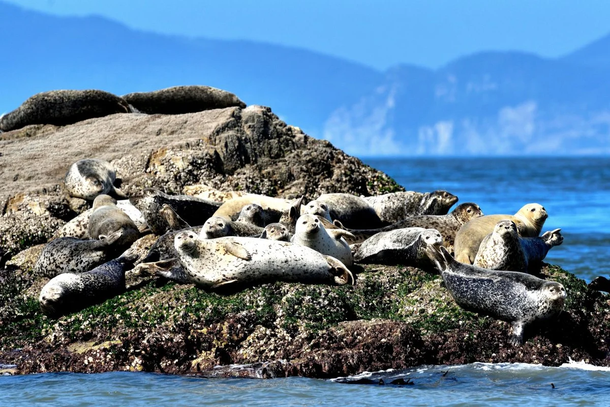 글램하이 글램핑 - 옹진 여행