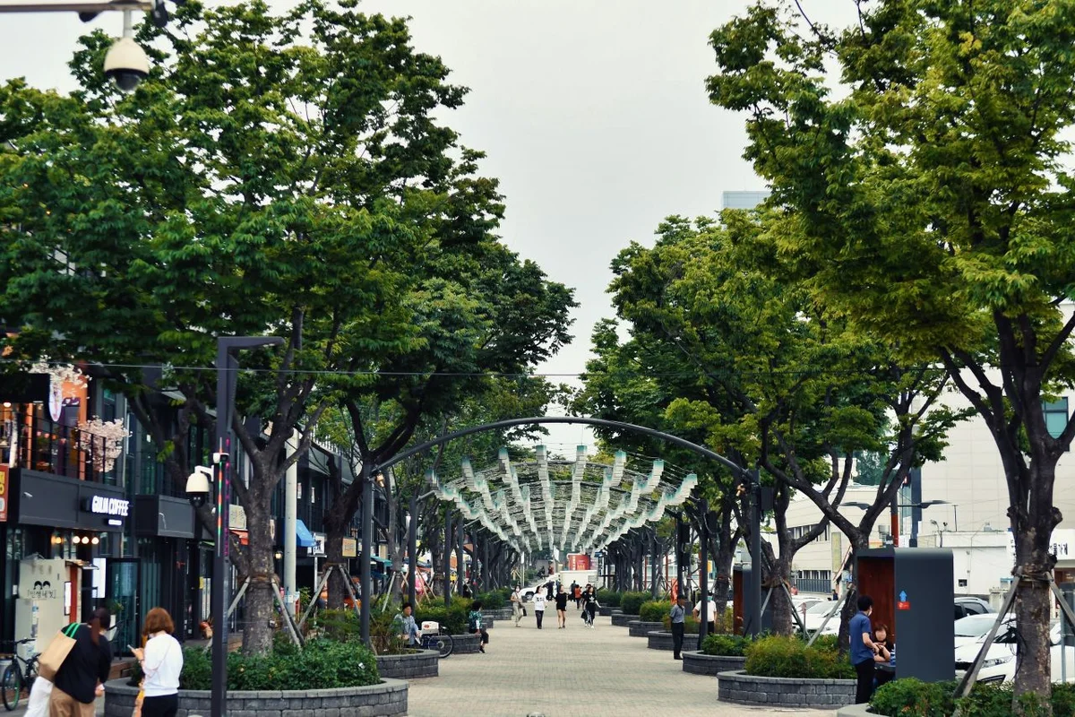 가로수길 - 가로수길 여행