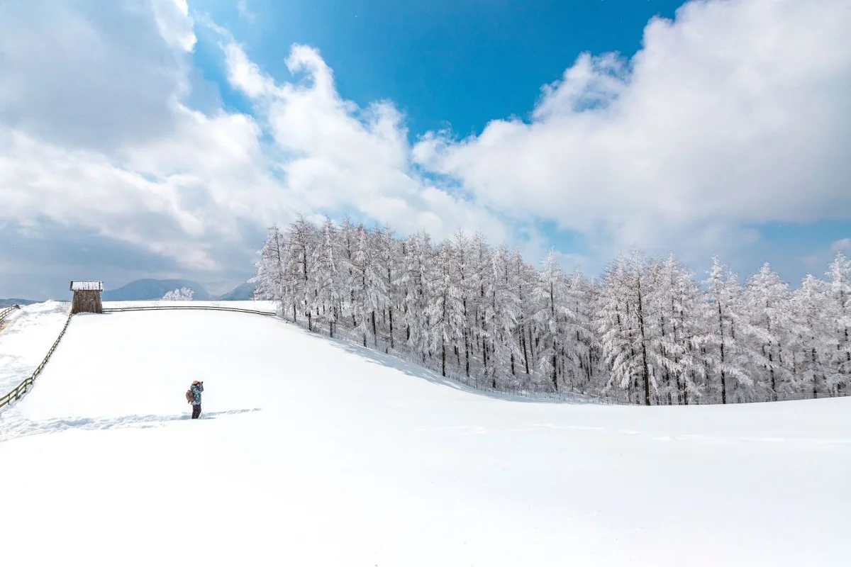 대관령양떼목장 - 강원단체여행 여행