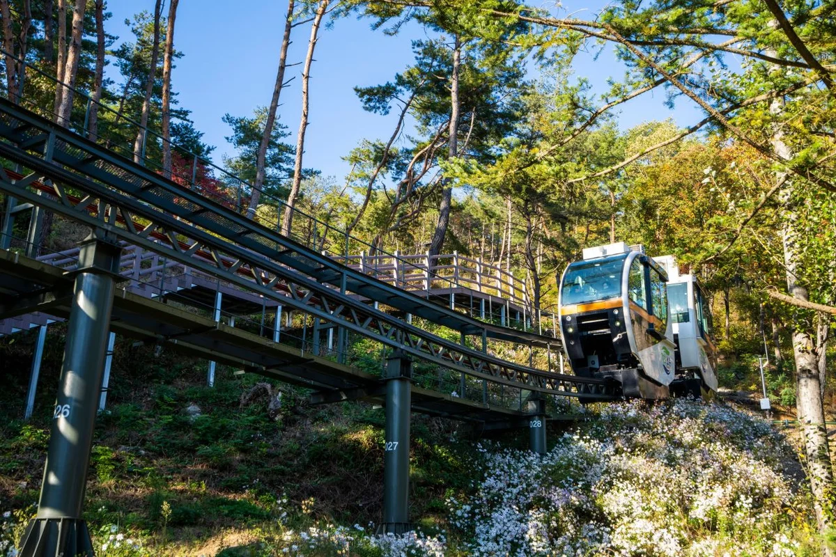 속리산테마파크 - 속리산여행 여행